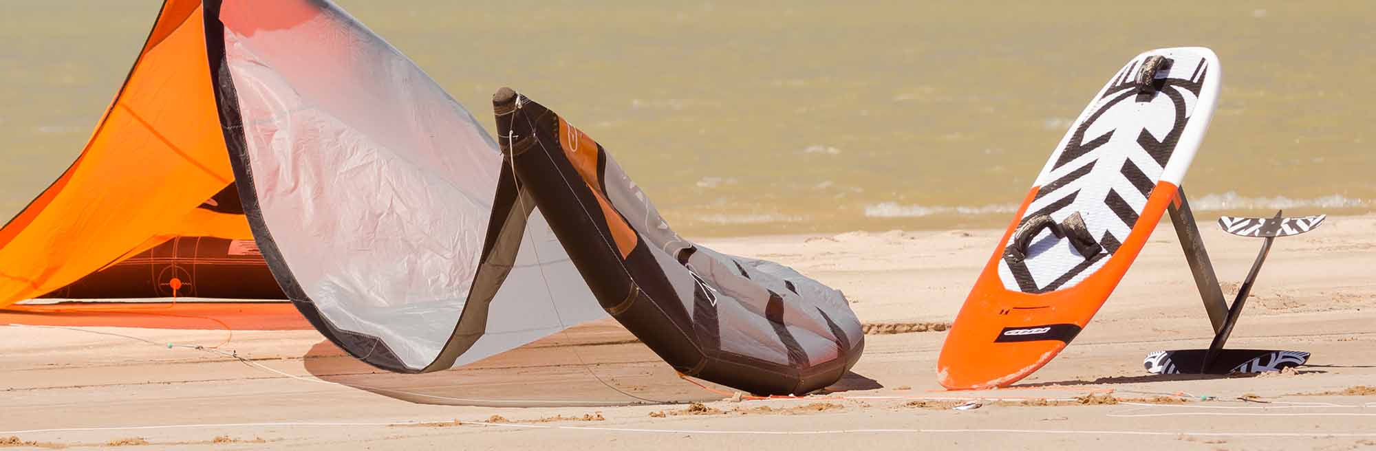 Dolphin 1 Hydrofoil Strand Dolphin 1 Hydrofoil Strand